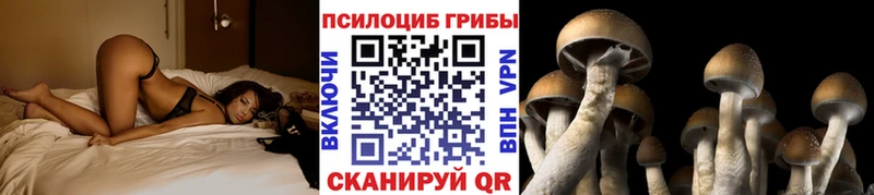 Галлюциногенные грибы MAGIC MUSHROOMS  купить  сайты  Фатеж 