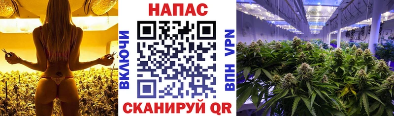Марихуана SATIVA & INDICA  купить наркотики сайты  Фатеж 